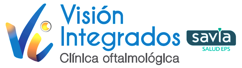 Logo Vision Integrada